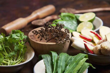 Chẩm chéo Điện Biên, món chấm thơm ngon, cuốn hút của núi rừng Tây Bắc