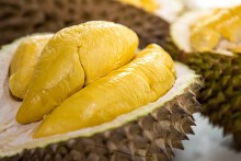 Thúc đẩy xuất khẩu chính ngạch sầu riêng, khoai lang, tổ yến sang Trung Quốc