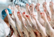 Trung Quốc cấm nhập thịt cừu của hai cơ sở chế biến lớn nhất Australia