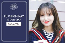 Tử vi hàng ngày hôm nay 10/12 của 12 con giáp: Mão thích nghi tốt với hoàn cảnh, Thìn tài chính ảm đạm