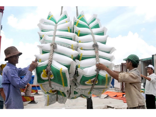 Bỏ thầu mua gạo dự trữ quốc gia, mất cọc mất luôn xuất khẩu? - Ảnh 1. Bỏ thầu mua gạo dự trữ quốc gia, mất cọc mất luôn xuất khẩu? - Ảnh 1.