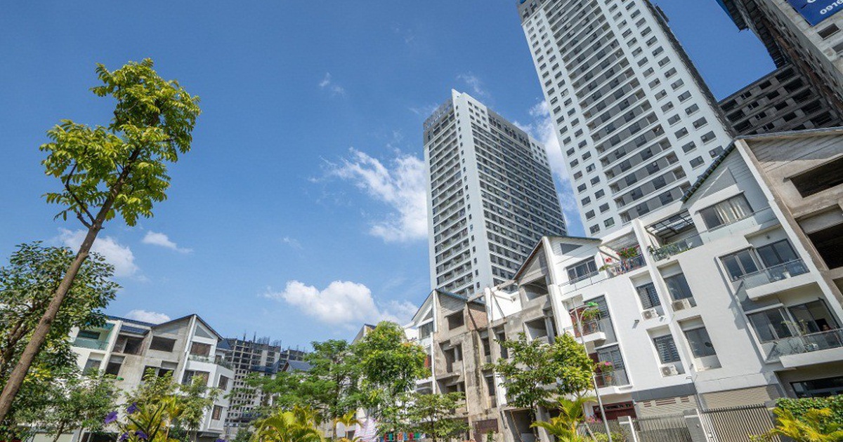 Dịch Covid-19 khiến nhà đầu tư shophouse 'vỡ mộng', chật vật tìm khách thuê - Ảnh 2. Dịch Covid-19 khiến nhà đầu tư shophouse 'vỡ mộng', chật vật tìm khách thuê - Ảnh 2.