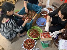Covid-19: Trung tâm ngoại ngữ mở tạp hóa, Trung tâm ngoại khóa gọi vốn cộng đồng
