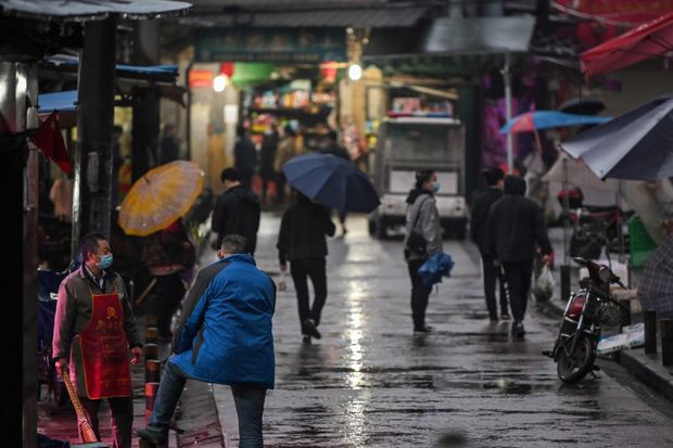Chuyên gia dơi: Covid-19 không xuất phát từ phòng thí nghiệm Vũ Hán - Ảnh 3. Chuyên gia dơi: Covid-19 không xuất phát từ phòng thí nghiệm Vũ Hán - Ảnh 3.
