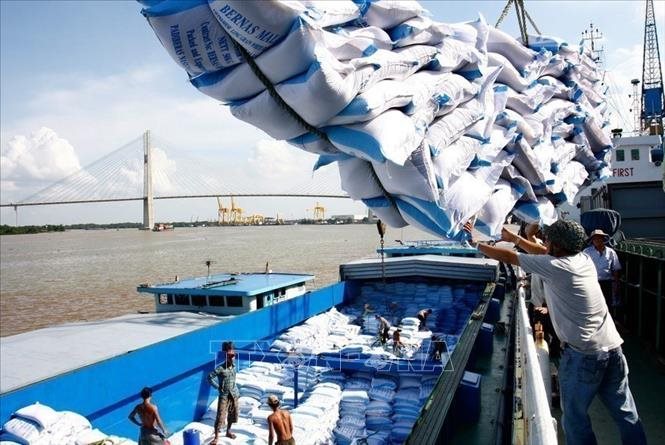 Mở hệ thống đăng kí tờ khai gạo tồn tại cảng trên hệ thống hải quan điện tử từ 25/4 - Ảnh 1. Mở hệ thống đăng kí tờ khai gạo tồn tại cảng trên hệ thống hải quan điện tử từ 25/4 - Ảnh 1.