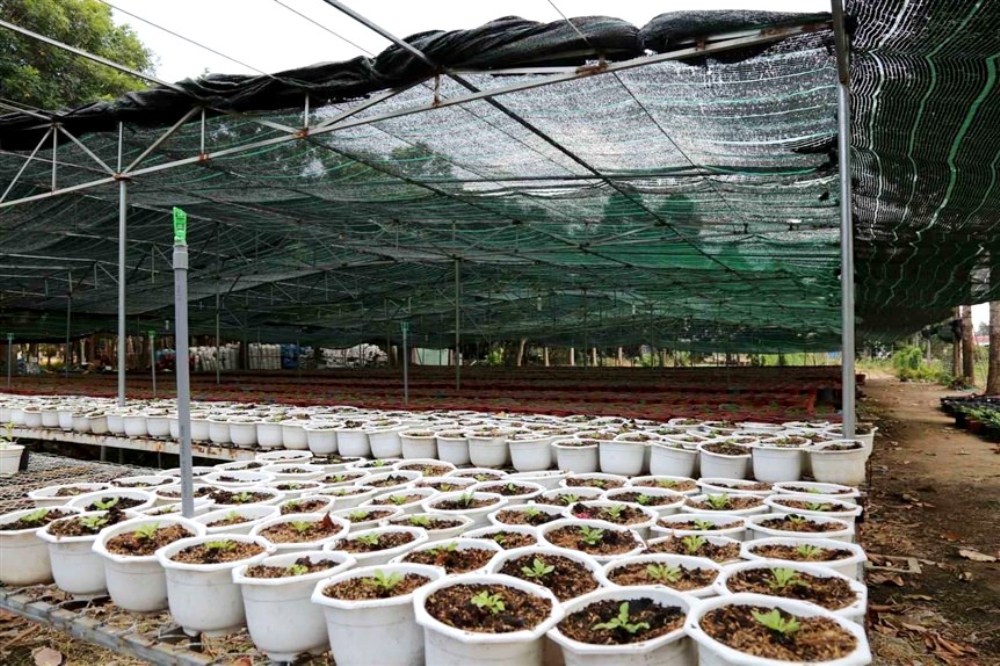 Nhiều khu du lịch 'lột xác' trong thời gian cách li xã hội - Ảnh 15. Nhiều khu du lịch 'lột xác' trong thời gian cách li xã hội - Ảnh 15.