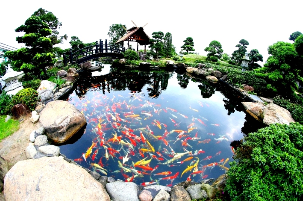 Nhiều khu du lịch 'lột xác' trong thời gian cách li xã hội - Ảnh 18. Nhiều khu du lịch 'lột xác' trong thời gian cách li xã hội - Ảnh 18.