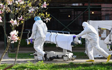 'Virus SARS-CoV-2 tới New York từ châu Âu, không phải Trung Quốc'