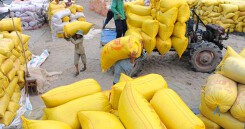 Hơn 38.000 tấn gạo được mở tờ khai vào 0 giờ ngày 26/4