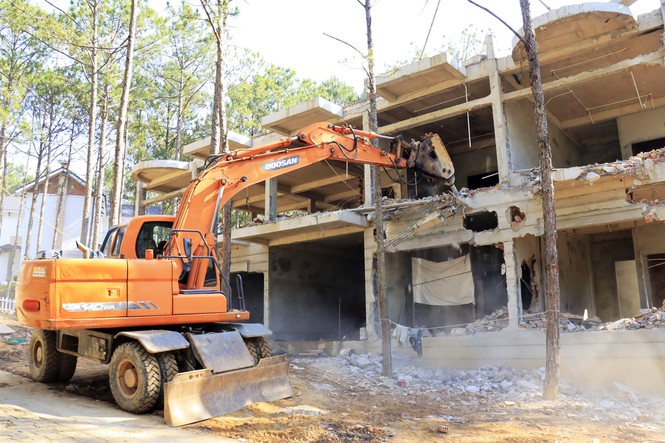 Đập 3 biệt thự không phép của doanh nghiệp phá rừng - Ảnh 3.