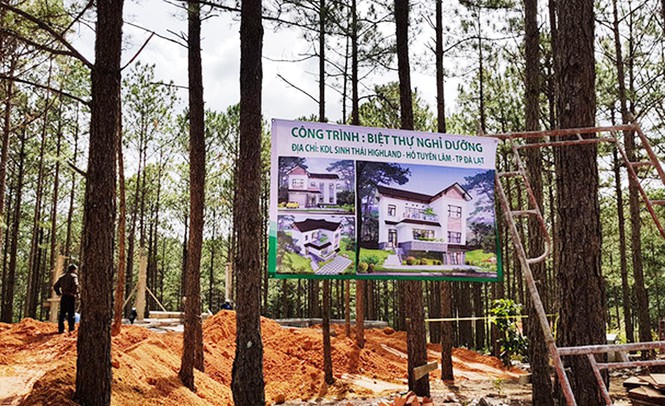 Đập 3 biệt thự không phép của doanh nghiệp phá rừng - Ảnh 4.