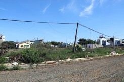 Kiến nghị công an vào cuộc vụ giao sai 71 lô đất ở Lâm Đồng