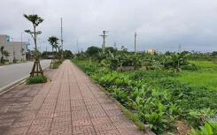 Từ vụ Nguyễn Xuân Đường, lộ lỗ hổng trong đấu giá đất ở Thái Bình