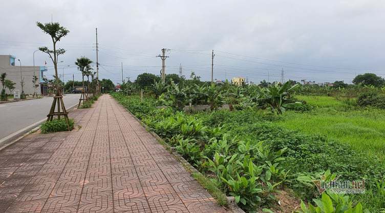 Từ vụ Nguyễn Xuân Đường, lộ lỗ hổng trong đấu giá đất ở Thái Bình - Ảnh 2. Từ vụ Nguyễn Xuân Đường, lộ lỗ hổng trong đấu giá đất ở Thái Bình - Ảnh 2.