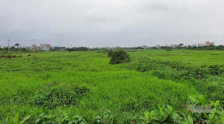 Từ vụ Nguyễn Xuân Đường, lộ lỗ hổng trong đấu giá đất ở Thái Bình - Ảnh 4. Từ vụ Nguyễn Xuân Đường, lộ lỗ hổng trong đấu giá đất ở Thái Bình - Ảnh 4.