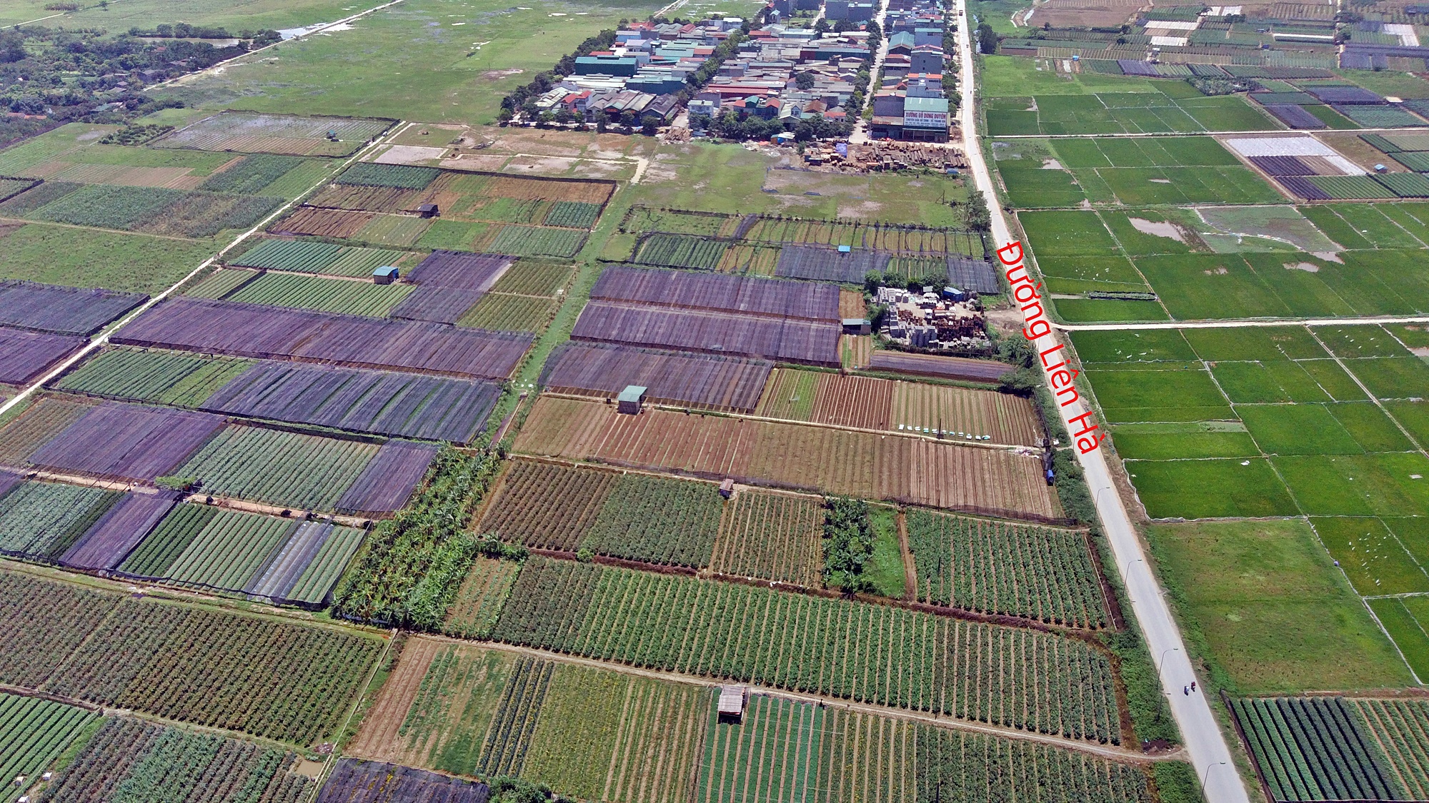 Những dự án sẽ hưởng lợi từ qui hoạch cầu Hồng Hà nối Đan Phượng - Mê Linh - Ảnh 6.
