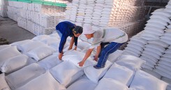 Kiến nghị cho xuất khẩu gạo bình thường, doanh nghiệp mừng ra mặt