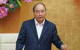 Thủ tướng yêu cầu địa phương tạo điều kiện cho sản xuất, kinh doanh, tăng tần suất bay nội địa