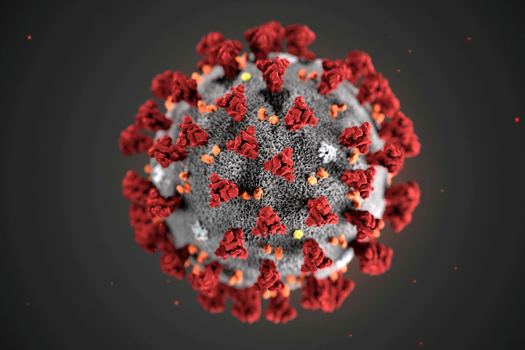 Phòng thí nghiệm Trung Quốc bác bỏ thuyết âm mưu về nguồn gốc của virus corona - Ảnh 1. Phòng thí nghiệm Trung Quốc bác bỏ thuyết âm mưu về nguồn gốc của virus corona - Ảnh 1.