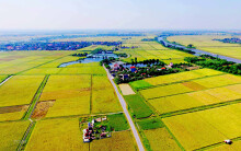 Nhiều uỷ viên UB Thường vụ QH đồng ý tiếp tục miễn thuế sử dụng đất nông nghiệp cho giai đoạn 2021 - 2025