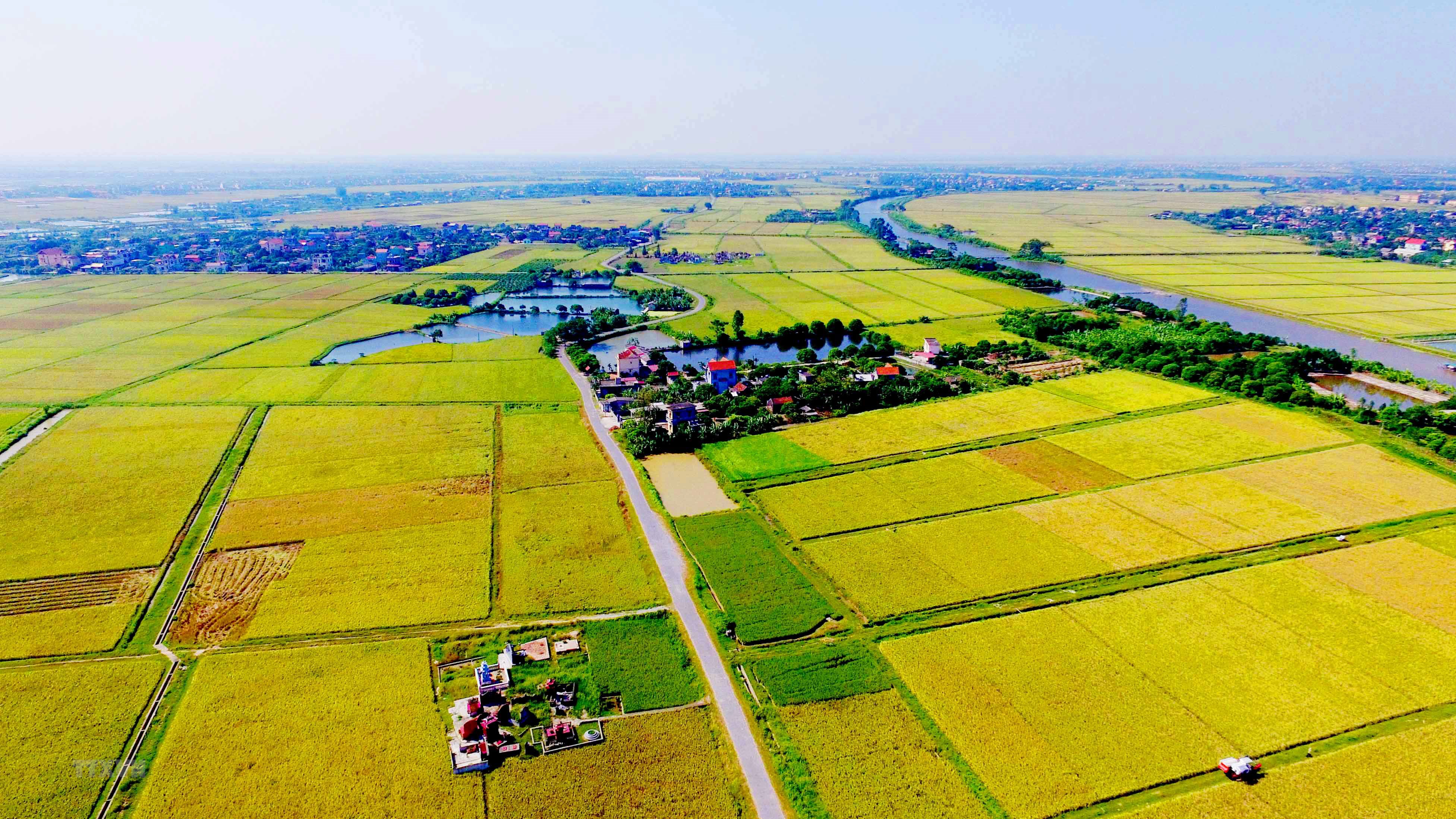 Nhiều uỷ viên UB Thường vụ QH đồng ý tiếp tục miễn thuế sử dụng đất nông nghiệp cho giai đoạn 2021 - 2025 - Ảnh 2. Nhiều uỷ viên UB Thường vụ QH đồng ý tiếp tục miễn thuế sử dụng đất nông nghiệp cho giai đoạn 2021 - 2025 - Ảnh 2.