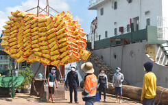 Thủ tướng đồng ý bỏ hạn ngạch, cho xuất khẩu gạo trở lại bình thường từ ngày 1/5/2020