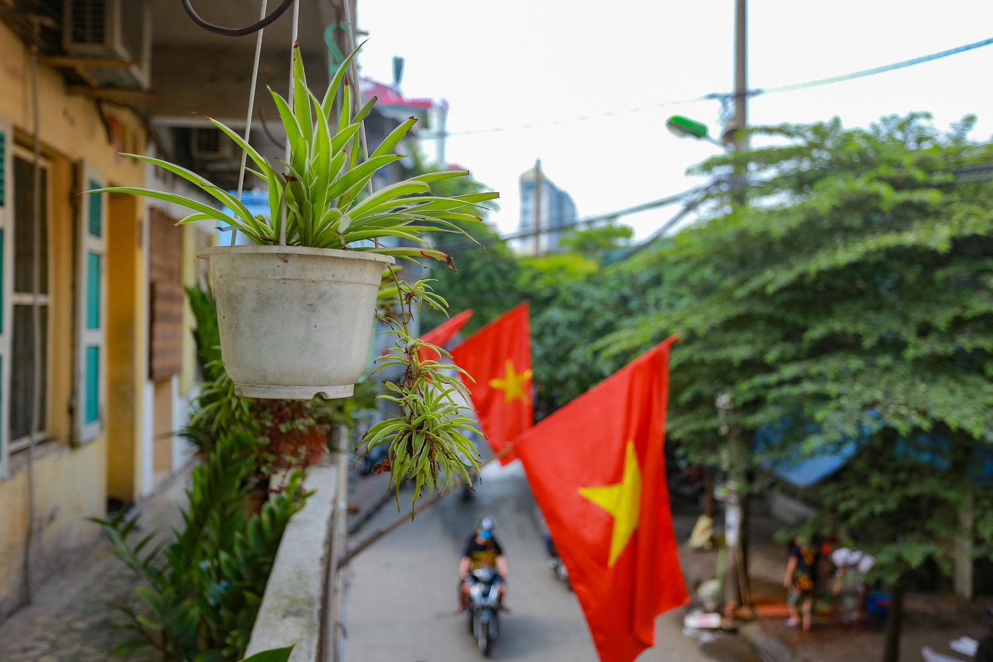 Cao ốc ở Hà Nội đồng loạt 'nhuộm kín' cờ Tổ quốc chào mừng lễ 30/4-1/5 - Ảnh 3. Cao ốc ở Hà Nội đồng loạt 'nhuộm kín' cờ Tổ quốc chào mừng lễ 30/4-1/5 - Ảnh 3.