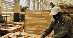 Nhiều doanh nghiệp gỗ phải rao bán nhà máy vì Covid-19