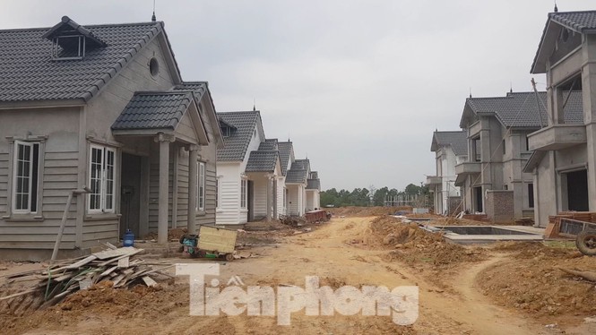 Chủ tịch tỉnh Phú Thọ: Xử lí trách nhiệm tập thể, cá nhân để xảy ra sai phạm ở Vườn Vua - Ảnh 2.