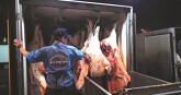Tìm điểm cân bằng cho giá thịt heo