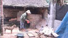 Hàng nghìn hộ dân ở Thanh Hóa tự nguyện không nhận tiền hỗ trợ Covid-19