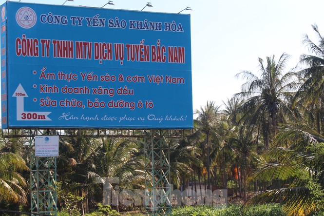 Sử dụng hàng trăm ha đất công không thuế: Bất ngờ chuyển đất nông nghiệp thành NƠXH - Ảnh 1. Sử dụng hàng trăm ha đất công không thuế: Bất ngờ chuyển đất nông nghiệp thành NƠXH - Ảnh 1.