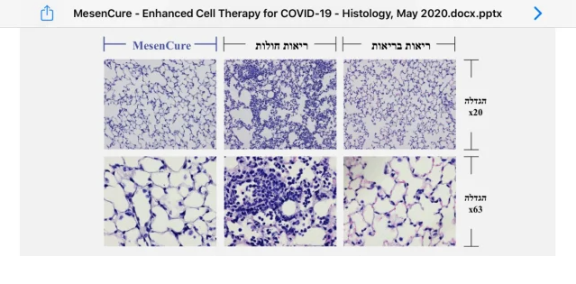Israeli - Ảnh 2. Israeli - Ảnh 2.