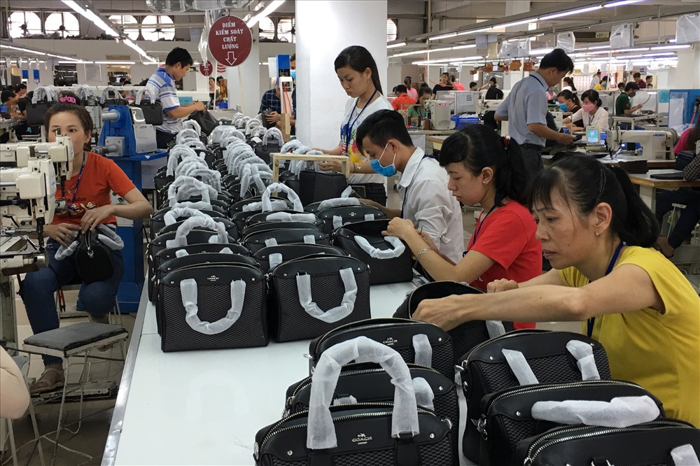 Mới có 1 doanh nghiệp tại TP HCM được xem xét vay không lãi suất để trả lương - Ảnh 1.