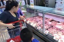 Thủ tướng yêu cầu đưa giá heo hơi xuống 60.000 đồng/kg ngay trong tháng 5