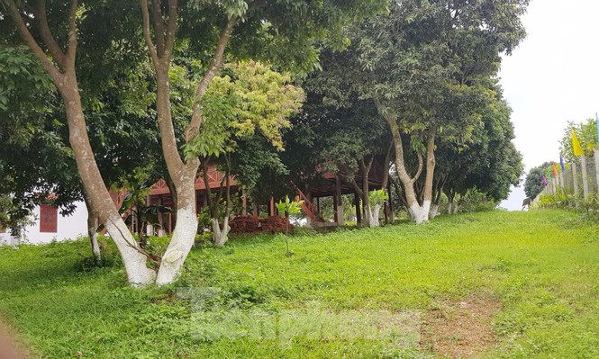 Cận cảnh biệt thự, nhà vườn trái phép 'mọc' trên đồi ở Ba Vì - Ảnh 12.