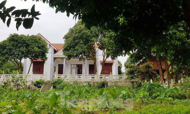 Cận cảnh biệt thự, nhà vườn trái phép 'mọc' trên đồi ở Ba Vì - Ảnh 2.