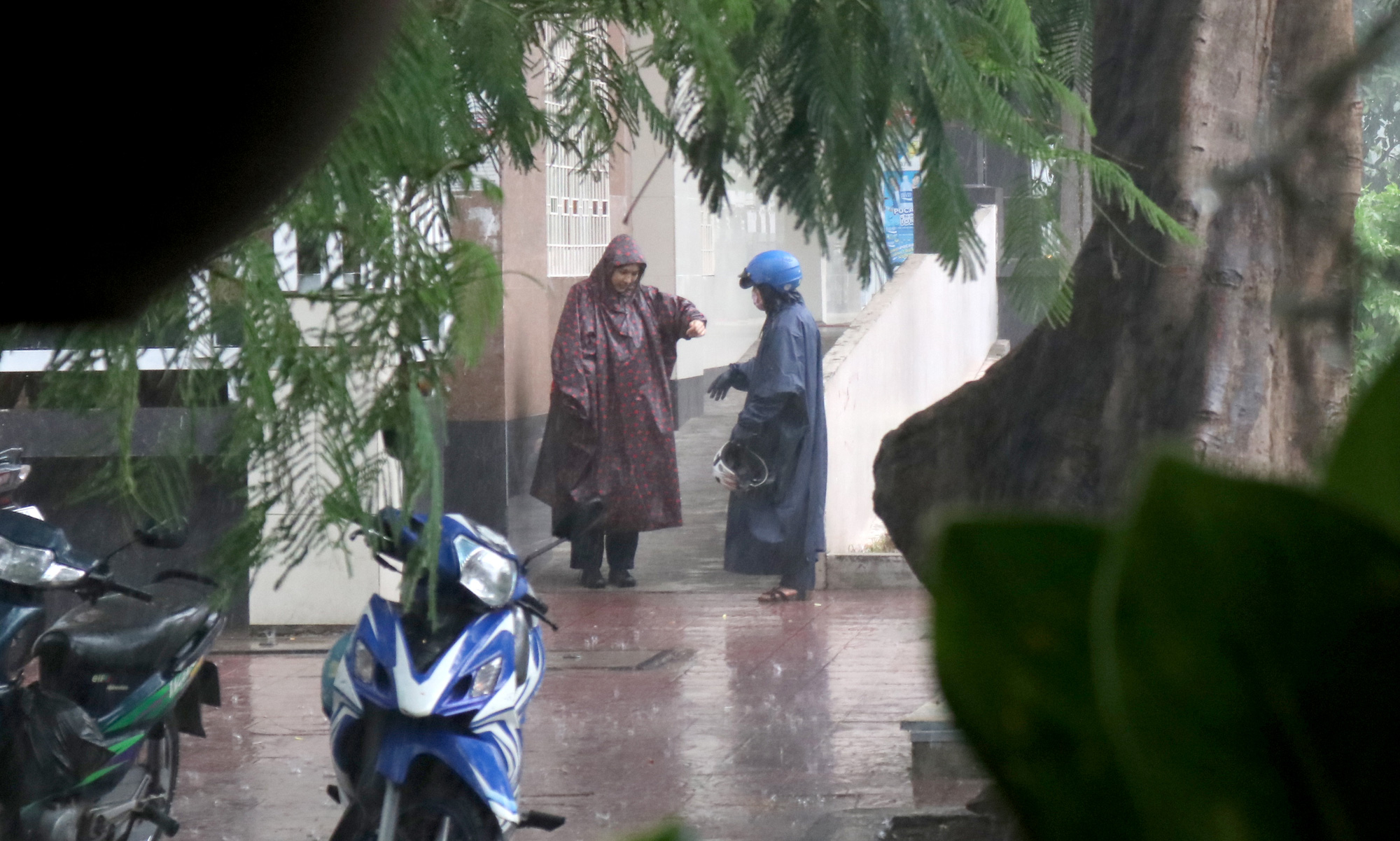 TP HCM: Mưa như trút nước nhiều nơi, vài ngày tới vẫn nắng nóng - Ảnh 6. TP HCM: Mưa như trút nước nhiều nơi, vài ngày tới vẫn nắng nóng - Ảnh 6.