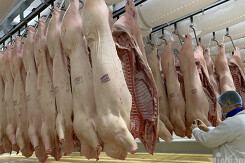 Giá thịt lợn lên mức 100.000 đồng/kg, dân không còn để bán