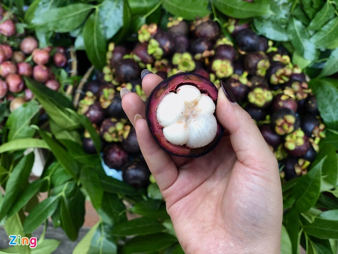 Sầu riêng, măng cụt Thái Lan đổ vào Việt Nam - Ảnh 2. Sầu riêng, măng cụt Thái Lan đổ vào Việt Nam - Ảnh 2.