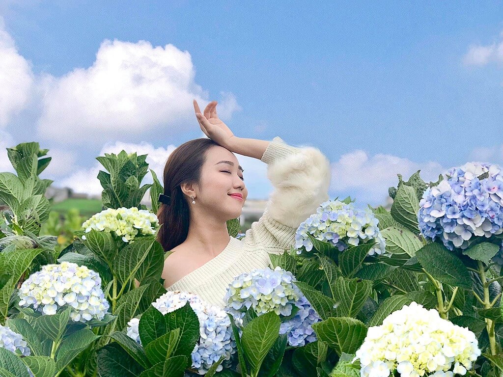 Hàng loạt đơn vị lữ hành thiết kế gói tour du lịch Đà Lạt 3 ngày 2 đêm giá rẻ trong dịp hè, tour chỉ từ 1,5 triệu đồng - Ảnh 1. Hàng loạt đơn vị lữ hành thiết kế gói tour du lịch Đà Lạt 3 ngày 2 đêm giá rẻ trong dịp hè, tour chỉ từ 1,5 triệu đồng - Ảnh 1.