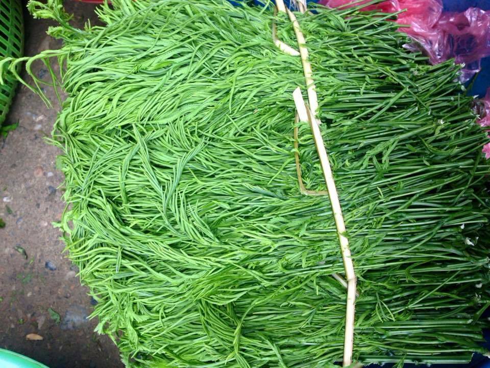 Đứng cách cả mét còn ngửi thấy mùi hôi, loại rau này lại đắt khách - Ảnh 1. Đứng cách cả mét còn ngửi thấy mùi hôi, loại rau này lại đắt khách - Ảnh 1.