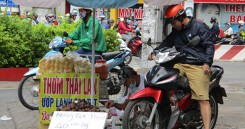 Việt Nam rộ mùa, trái cây Thái Lan vẫn đổ bộ