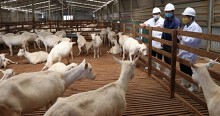Dòng tiền đầu tư tìm cơ hội ở vùng kinh tế mới