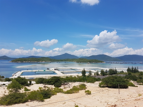 Dòng tiền đầu tư tìm cơ hội ở vùng kinh tế mới - Ảnh 2.