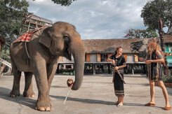 Khám phá Tây Nguyên với loạt tour du lịch có giá ưu đãi hấp dẫn chỉ từ 1 triệu đồng