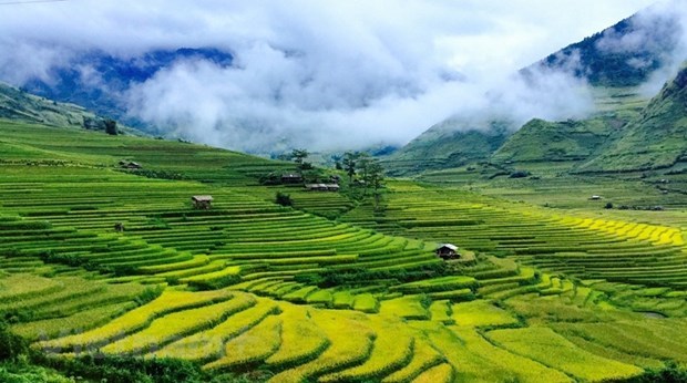 Những địa điểm đẹp du khách không nên bỏ lỡ khi đến Mù Cang Chải - Ảnh 1. Những địa điểm đẹp du khách không nên bỏ lỡ khi đến Mù Cang Chải - Ảnh 1.