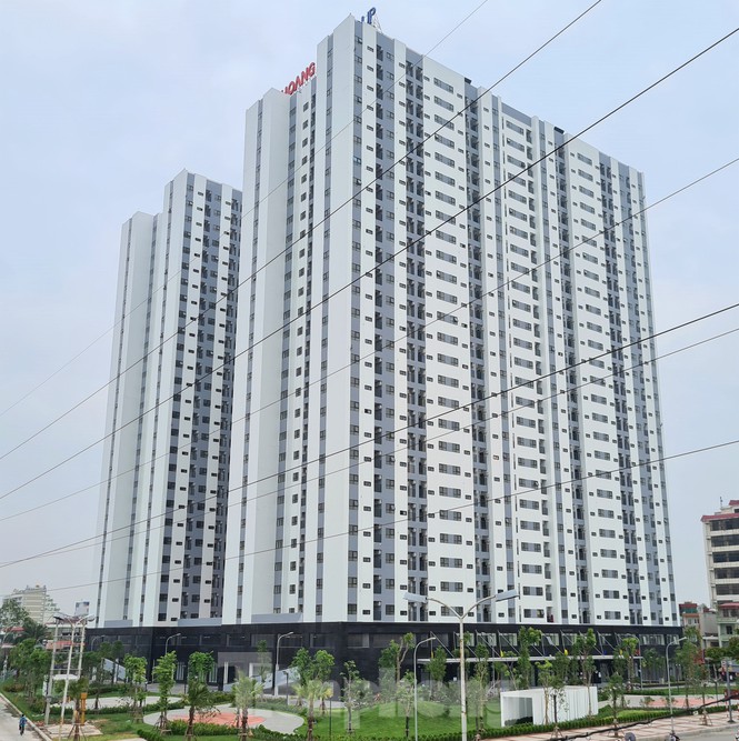Cận cảnh những khu 'đất vàng' thanh toán cho dự án BT cải tạo chung cư ở Hải Phòng - Ảnh 1. Cận cảnh những khu 'đất vàng' thanh toán cho dự án BT cải tạo chung cư ở Hải Phòng - Ảnh 1.