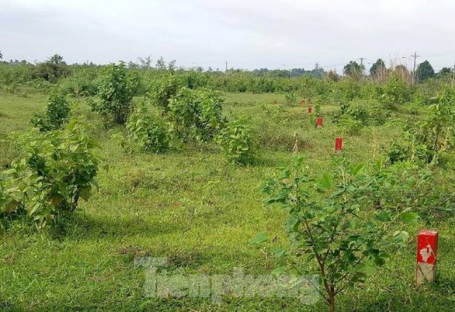 Công an mời ‘ông lớn’ BĐS đến làm việc liên quan dự án hàng nghìn tỉ ở Bình Dương - Ảnh 3. Công an mời ‘ông lớn’ BĐS đến làm việc liên quan dự án hàng nghìn tỉ ở Bình Dương - Ảnh 3.