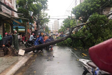 Đường ngập, cây bật gốc sau trận mưa lớn ở TP HCM